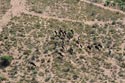 Karoo Stud Game Services